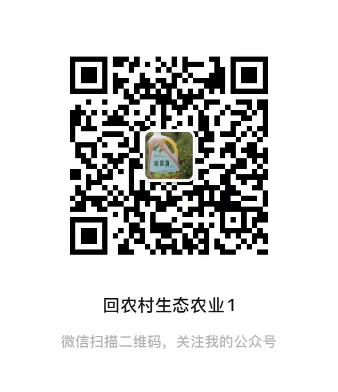 公眾號(hào)